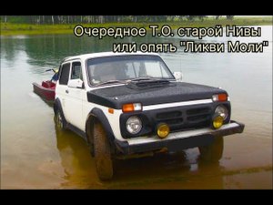 Очередное Т.О. старой Нивы или опять "Ликви Моли"