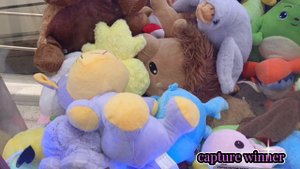 ПО СЛЕДАМ 👣 НОВЫХ ЗАГРУЗОК 🎰ДЕНЬ 3-й(любопытный 🦩,новинка микро собачка♥️и др.)