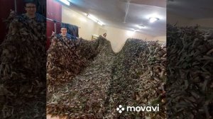 леваневского