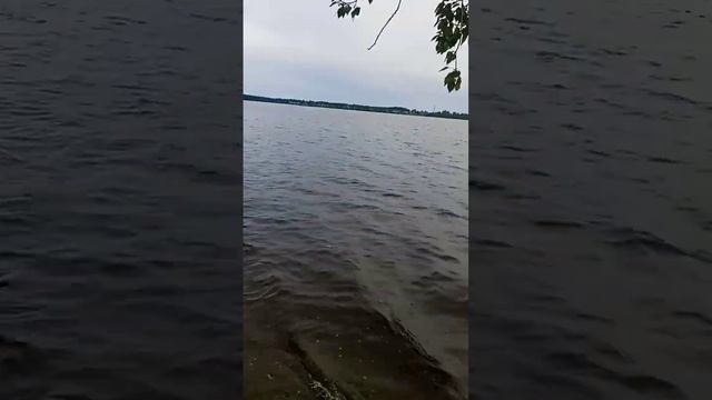 Снова рыбалка но непростая 🎣 #рыба #рыбалка #онега #рыбалочка #экран