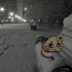 Басик получил двойку 😱