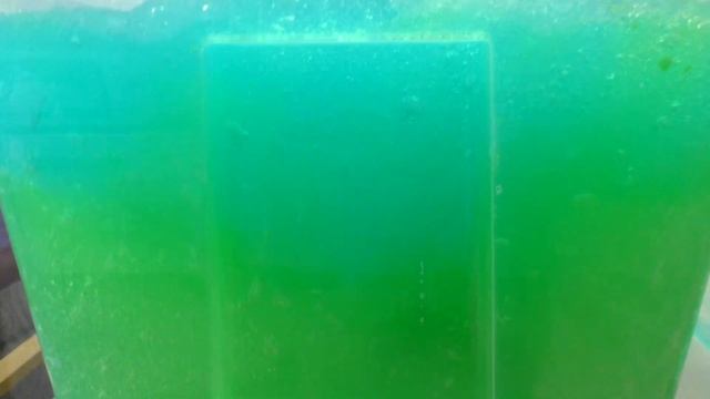 ДЖЕЛЛИ БАФФ, СМЕШИВАЕМ ЦВЕТА И РАСТВОРЯЕМ! {НОВЫЙ ЧЕЛЛЕНДЖ} GELLI BAFF TOY CHALLENGE GAME! смотреть онлайн