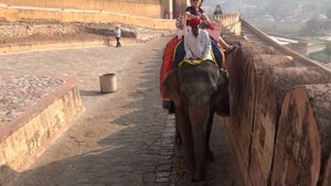 Форт Амбер, город Джайпур, штат Раджастхан, Индия / Amber Fort, Jaipur city, Rajasthan, India