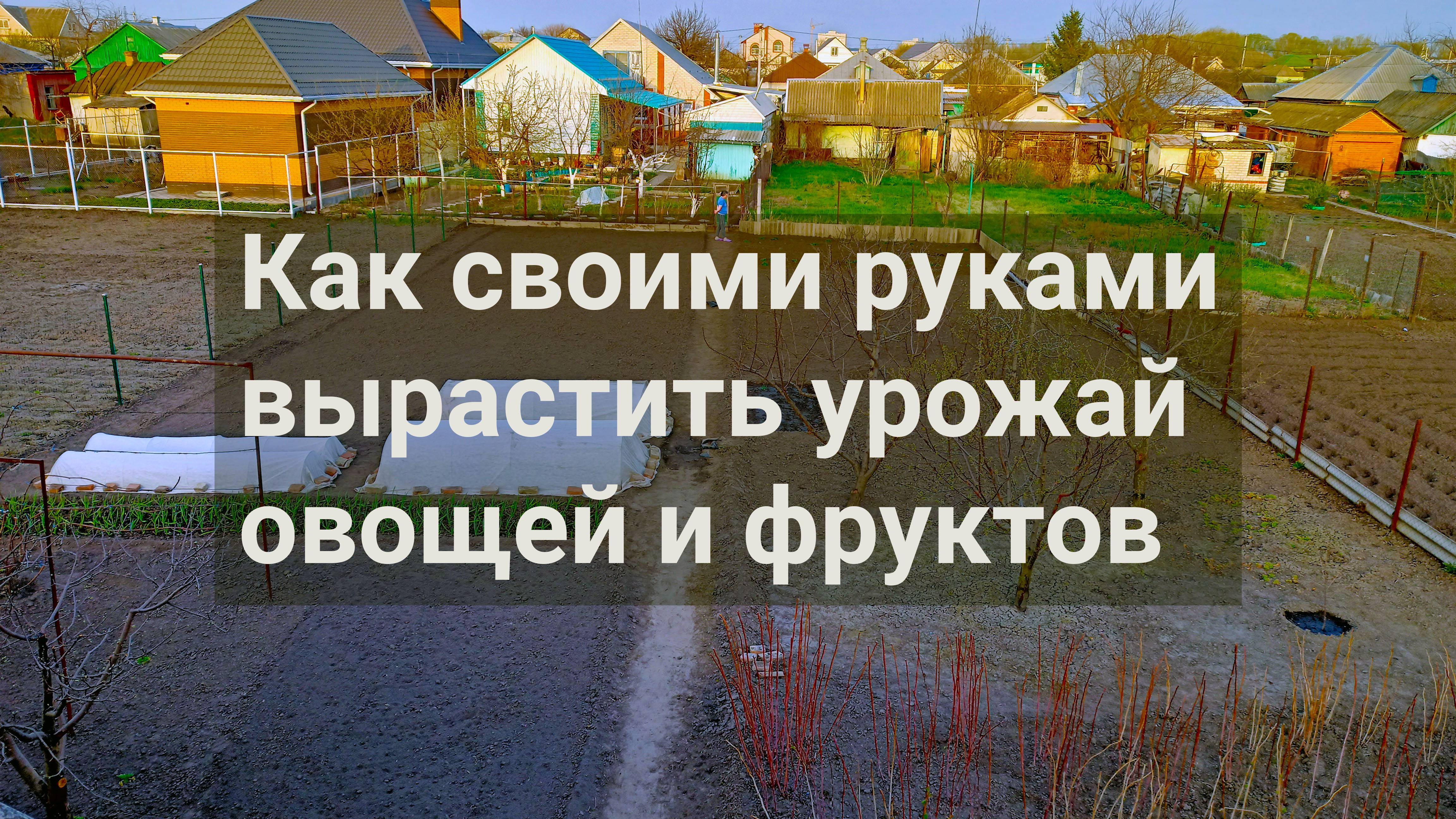 От высадки до урожая ключевые этапы огородных работ