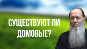 Существуют ли домовые? Что делать, если в доме происходят странности? (о. Владимир Головин)