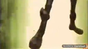 Леди баг и супер кот!!! 2 сезон11 серия!!Шок!!!