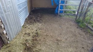 Мои условия содержания лошадей / денник / конюшня / кормление лошадей / M-H