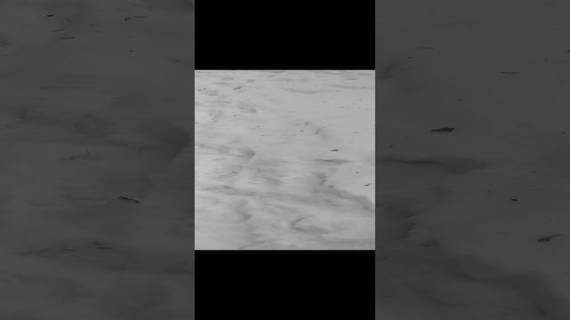 VID_20241214_103418.mp4 смотреть онлайн