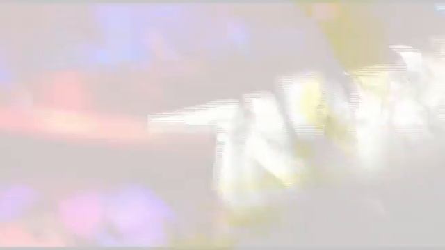 DJ СИЛУЯNOVA Renaissance