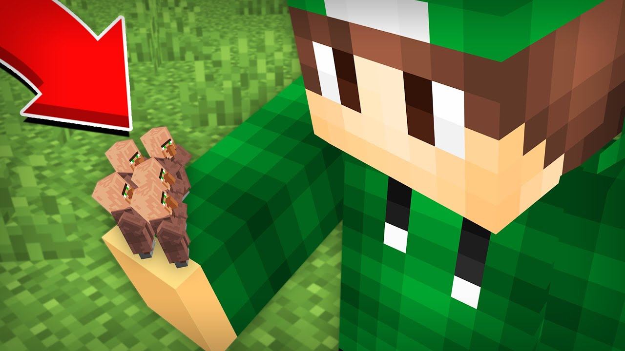УМЕНЬШИЛ ЖИТЕЛЕЙ В МАЙНКРАФТ | Риколит Minecraft