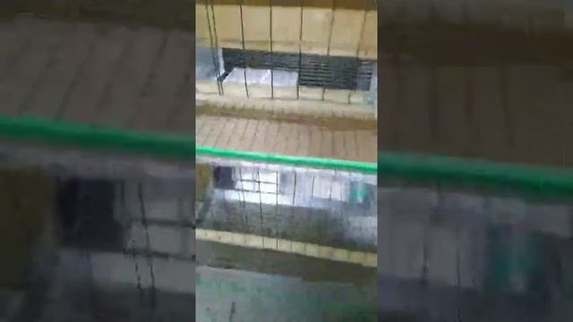 Клетка для кур-несушек деревянная "Профи"
