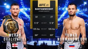 МЕРАБ ДВАЛИШВИЛИ ПРОТИВ УМАРА НУРМАГОМЕДОВА ПОЛНЫЙ БОЙ UFC 311