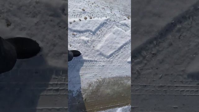 14 декабря 2024 г. смотреть онлайн