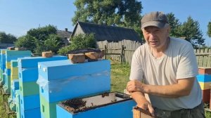 УЛЕЙ ШЕСТИРАМОЧНИК. КАК работать и что можно заработать.