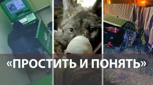 «Потише веди себя» | Как вытащить волка из батареи | Усть-Луга давит прибалтов | Унёс не ту ёлку