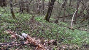 Неплохие находки в этот раз с Garrett ACE Apex