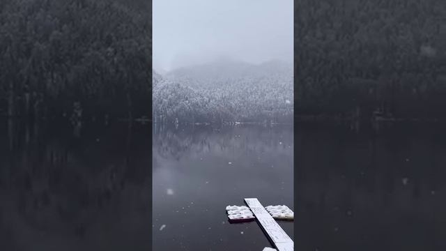 Озеро Рица, Абхазия смотреть онлайн