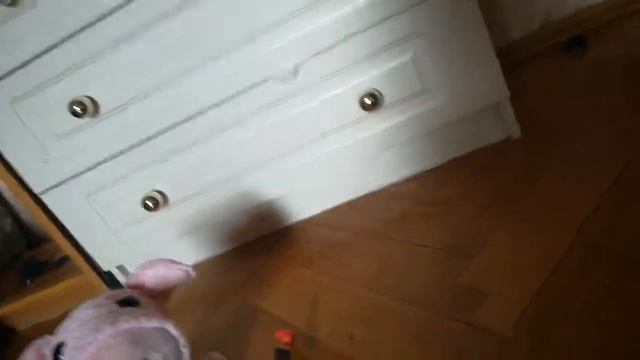 Живая свинка и желейный медведь Валера