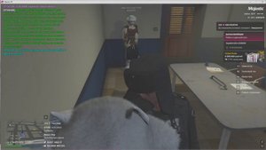 Grand Theft Auto V 2024.12.14 - 17.01.34.03.DVR