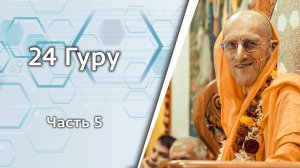 24 Гуру, часть 5 — Бхакти Викаша Свами