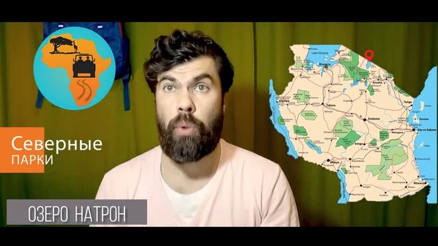 Туры в Африку 🌴 Сафари в северных национальных парках Танзании смотреть онлайн