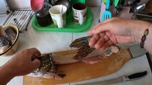 Филируем щуку на котлеты.