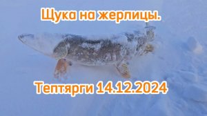Тептярги Рыбалка Челябинскся область Щука на жерлицы