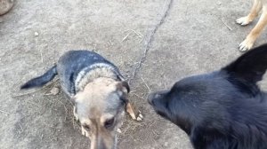 Херсонщина 14 декабря 2024 года