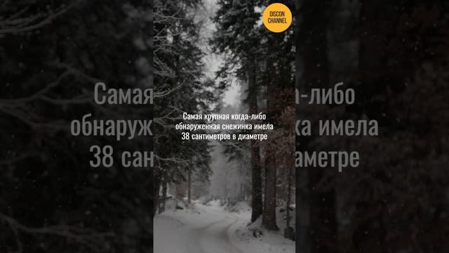 ❄ Снежное волшебство: Удивительные факты о снеге и снежинках