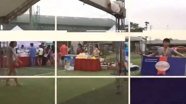 Show me your pet holiday -11/9/2016 - Petcity vs Whiskas pedigree смотреть онлайн