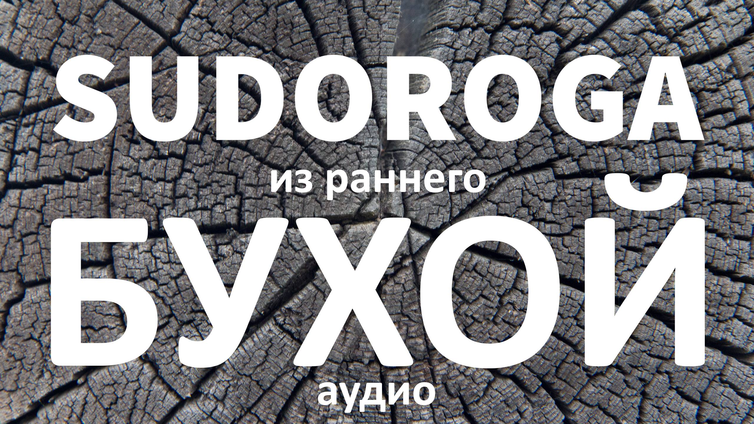 SUDOROGA - Бухой