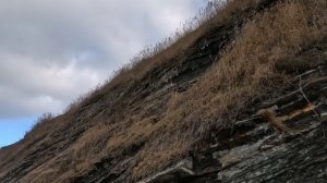 14.12.Анапа.Утро.Новая набережная.