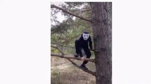 снюсоеды