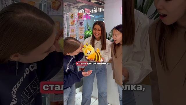 Это что кот-пчела?😍