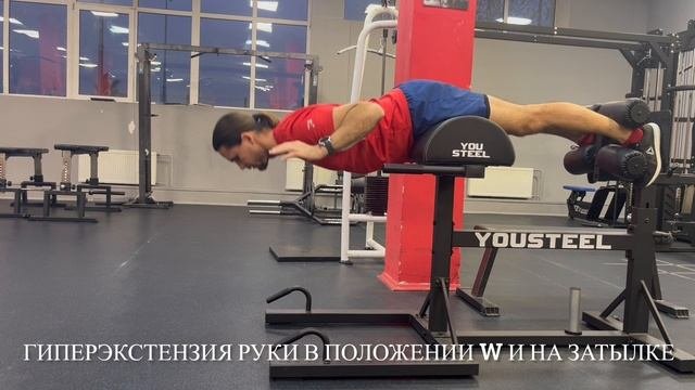 Разгибание туловища в тренажере(ГИПЕРЭКСТЕНЗИЯ)