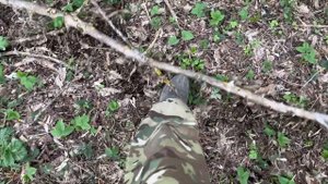 Летом там не пролезть, копаем с металлоискателем Nokta Legend