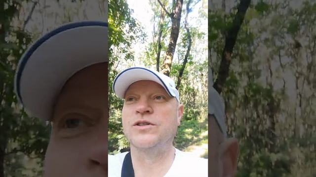 Утренняя видеомотивация
