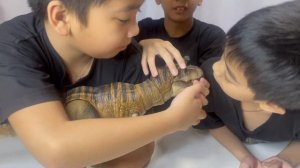 Mattel Jurassic Park Hammond Collection Tyrannosaurus Rex