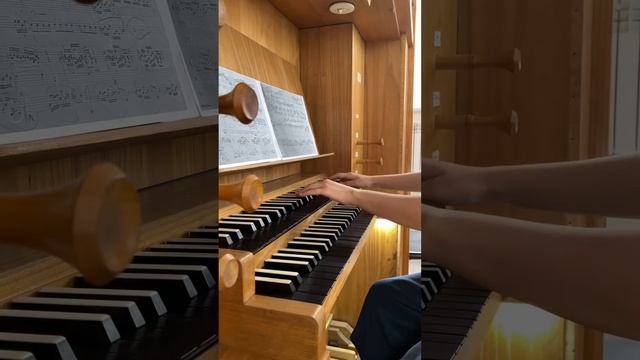 Kali: Call of Darkness — Reitan (Organ Cover) Romance club Клуб романтики Кали: Зов Тьмы Рэйтан смотреть онлайн