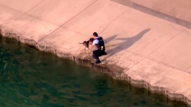 Слабонервным НЕ Смотреть!Люди Спасают Животных,попавших в Беду! смотреть онлайн