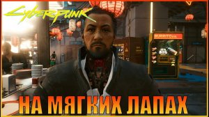 На мягких лапах Корпорат Прохождение Cyberpunk 2077