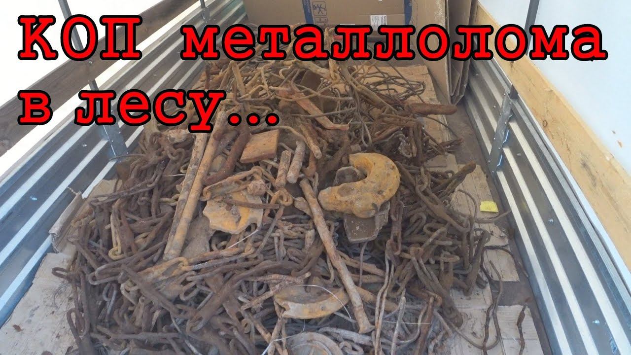 ПОИСК МЕТАЛЛОЛОМА В ЛЕСУ. МЕТАЛЛОИСКАТЕЛЬ MINELAB EQUINOX 800. КОМИ КОП смотреть онлайн