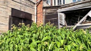 Путешествие на север часть 2. Дальние Зеленцы