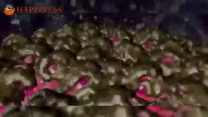 Неблагоприятное воздействие токсинов на организм человека