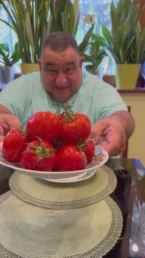 КВАШЕННЫЕ ПОМИДОРЫ за 5 дней