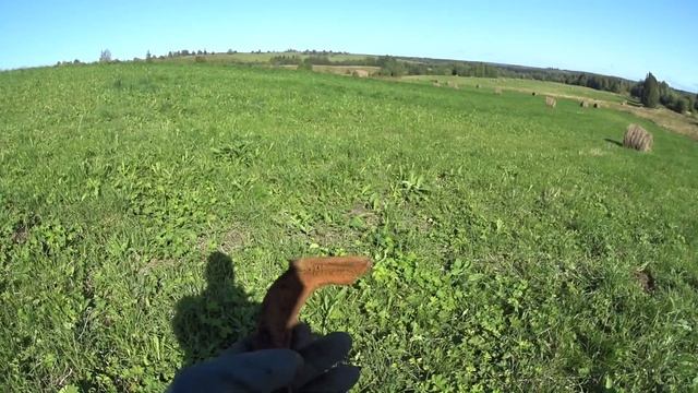 ДВА MINELAB EQUINOX 600 НА ОДНОМ ПОЛЕ. ПОИСК СТАРИННЫХ МОНЕТ. КОМИ КОП смотреть онлайн