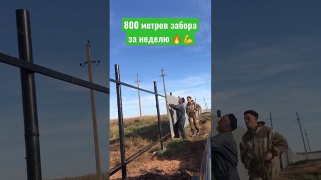 800 метров забора за неделю. смотреть онлайн