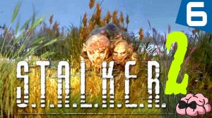 STALKER 2: Heart of Chornobyl ➼ Улыбочку! Скажите сыыыыырррр  ➼ 6 серия