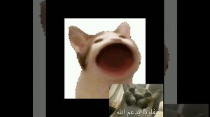 давно делал