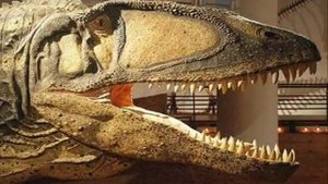 Tribute to Carcharodontosaurus